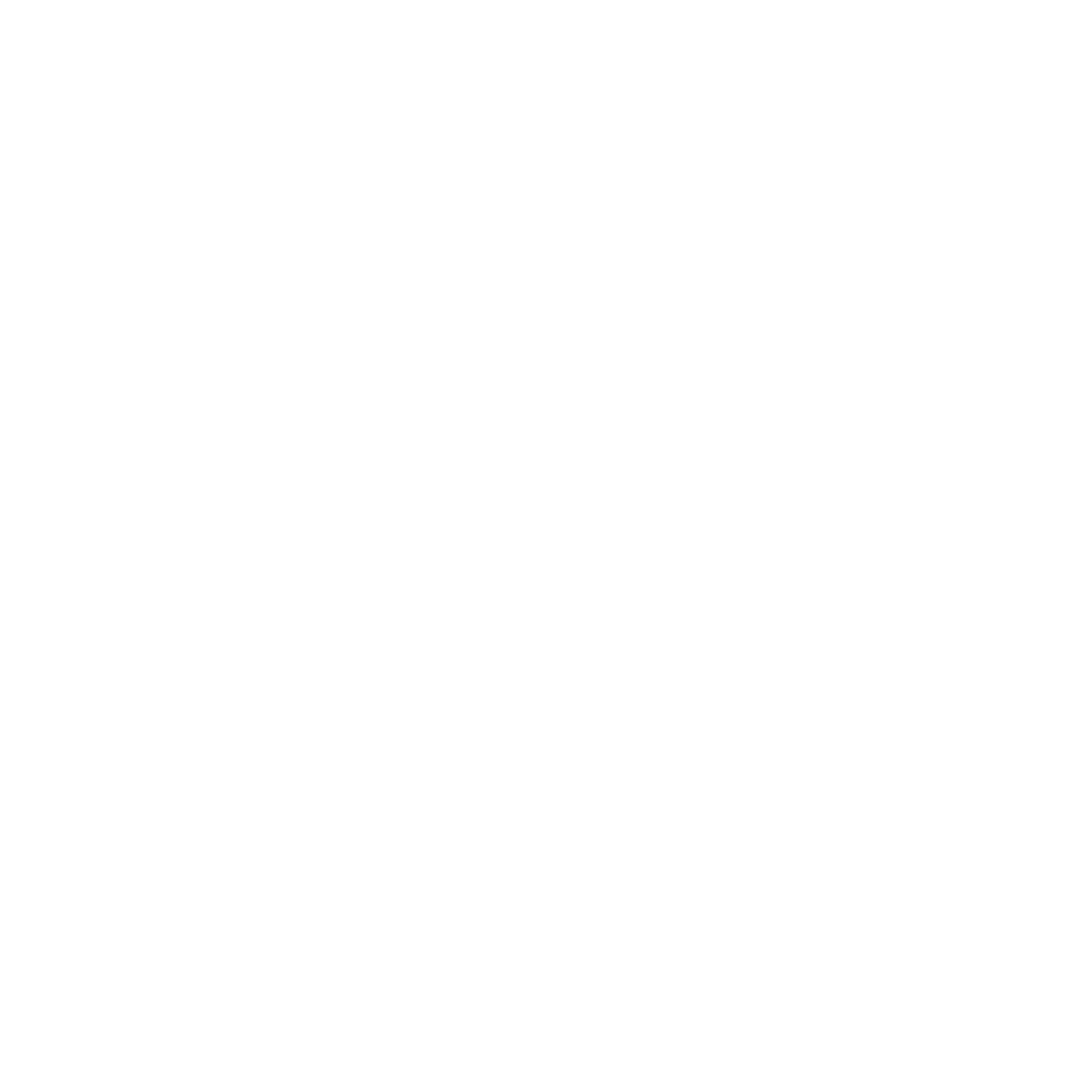 LeoCore