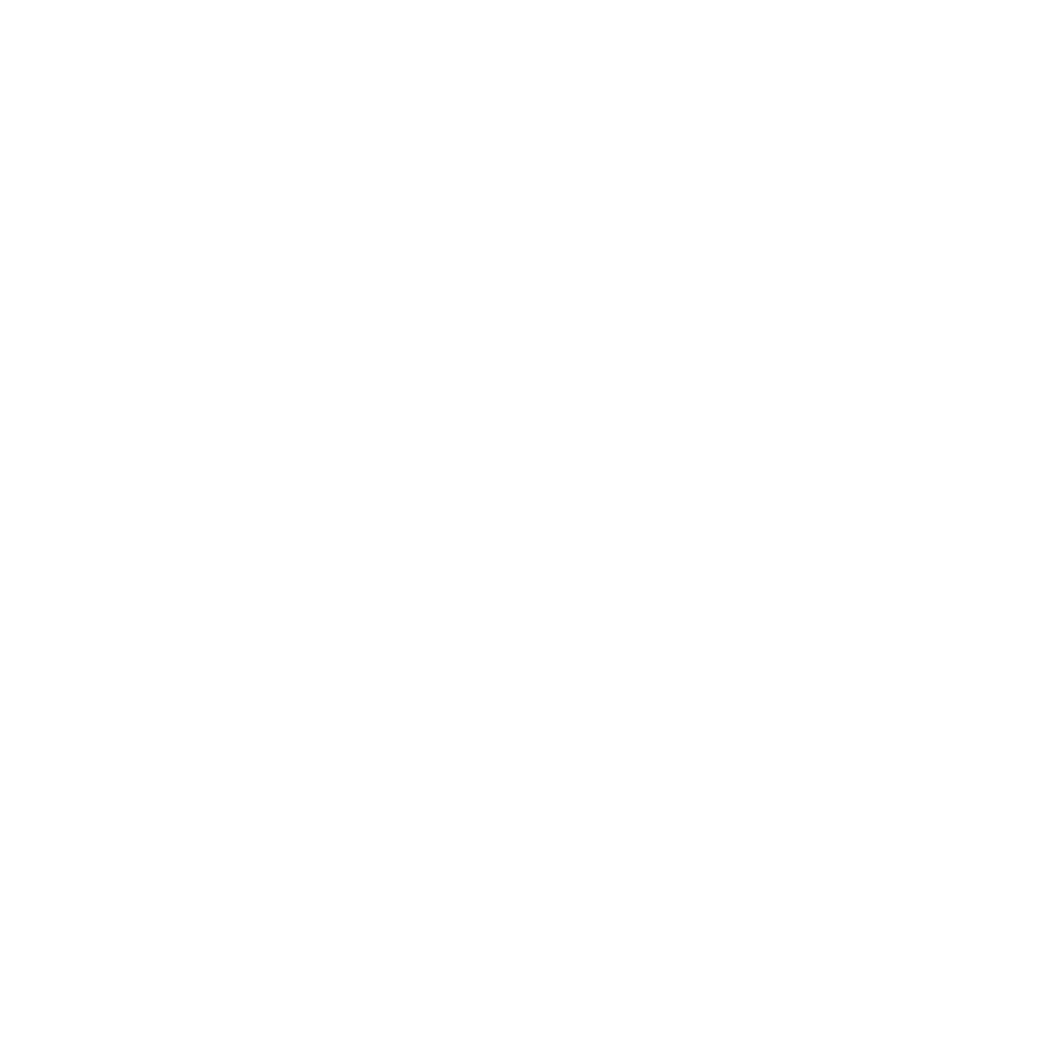 Camera ribbon
